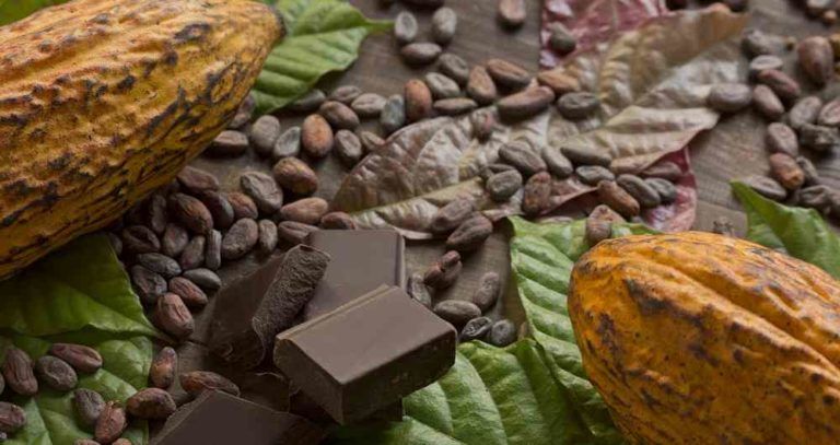 La aerolínea japonesa que ofrece chocolates colombianos a sus pasajeros