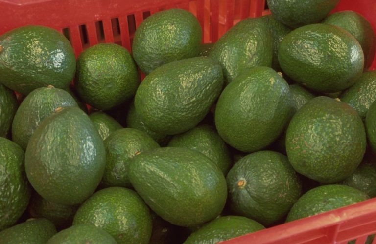 Estos fueron los productos colombianos de mayor crecimiento en el 2018