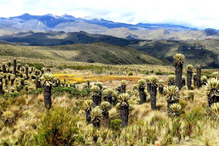 Conoce el primer inventario sobre biodiversidad de Colombia