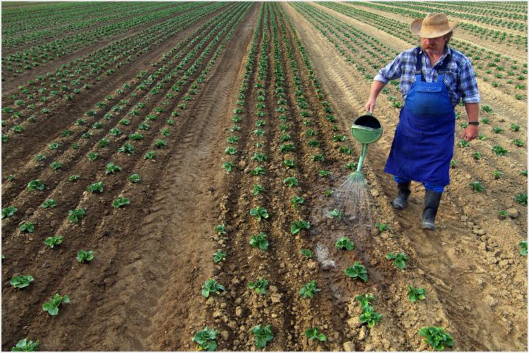 Campesinos de Pasto podrían controlar los sistemas agroalimentarios