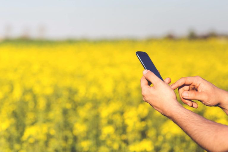 iNaturalist, una aplicación que reconoce la flora y fauna