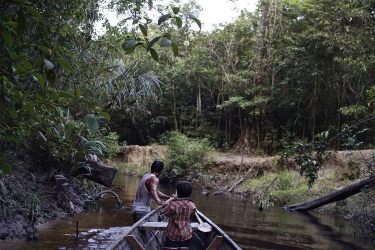 Proyecto Fénix, alternativa para el manejo residuos sólidos en la Amazonia