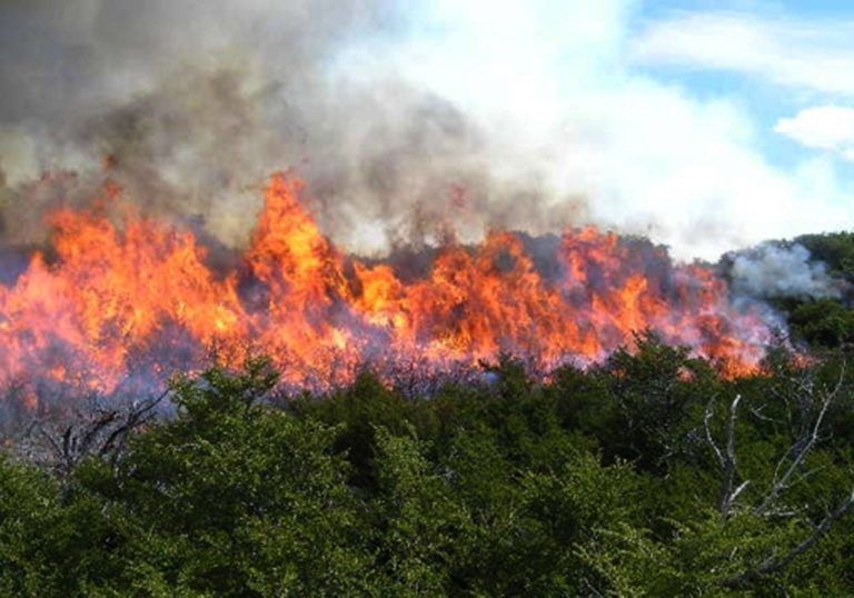 Colombia no está preparada para los incendios forestales