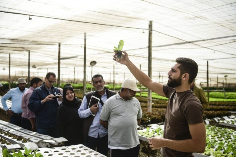 La agro-acuicultura como alternativa para el uso eficiente del agua