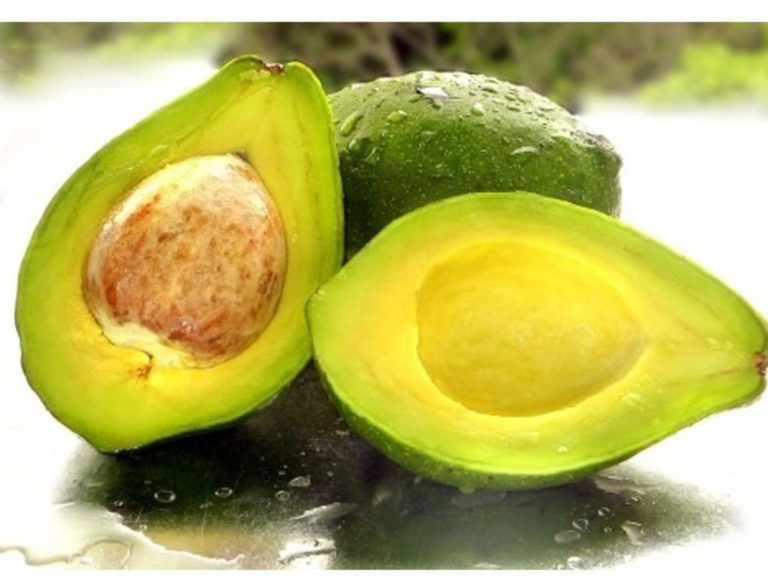 Cremas a base de aguacate como alternativa productiva