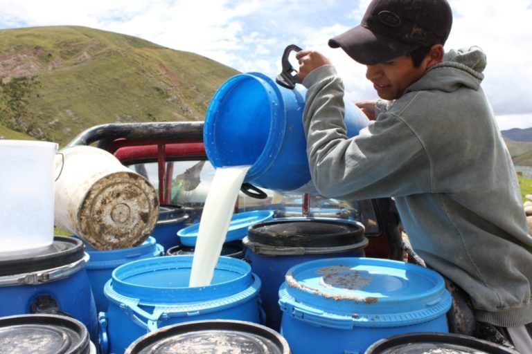 Reajuste al precio base del litro de leche aumenta un 3,3%