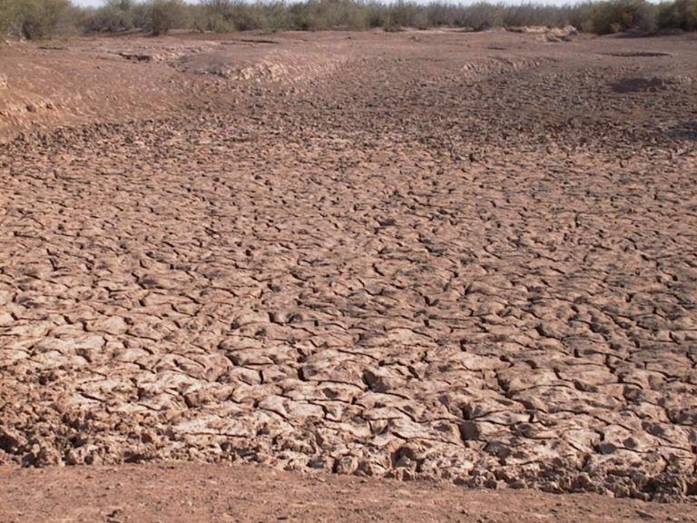 Laboratorio de suelos en Yopal ayudará a mitigar pérdidas de agricultores
