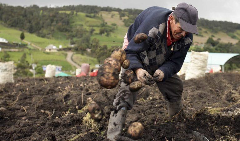 Encuentro de diálogo sobre los retos de la implementación de los derechos del campesino