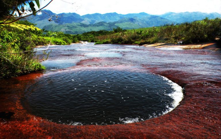Las Gachas, la quebrada que sorprende a nivel nacional e internacional