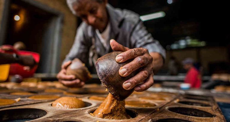 Implementar la producción de panela beneficiaría a Samaná y Riosucio, Caldas
