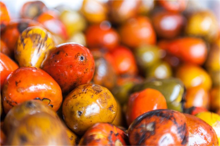 Chontaduro, el oro gastronómico que renace en Caquetá