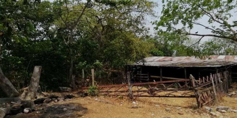 La iniciativa de una familia en Yopal que quiere preservar el medioambiente