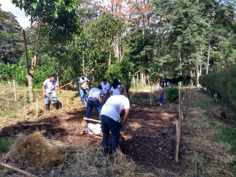 Una educación diferente, hecha en el campo y para el campo