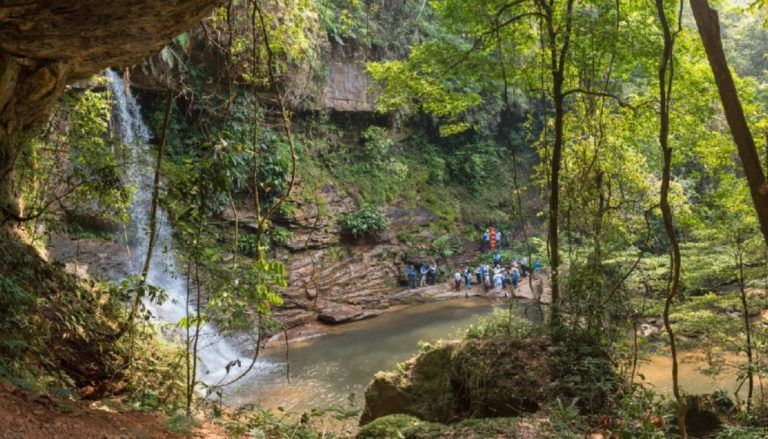 Paraísos ocultos, la iniciativa ecosostenible de excombatientes de las Farc