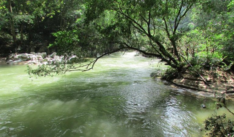 Día Mundial del Agua, el recurso más importante del planeta