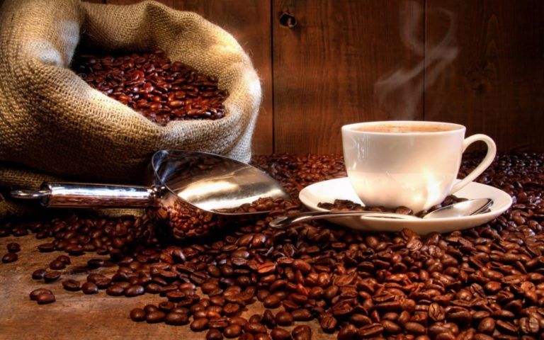 Carta del campo: Tras la taza de café de Amelie