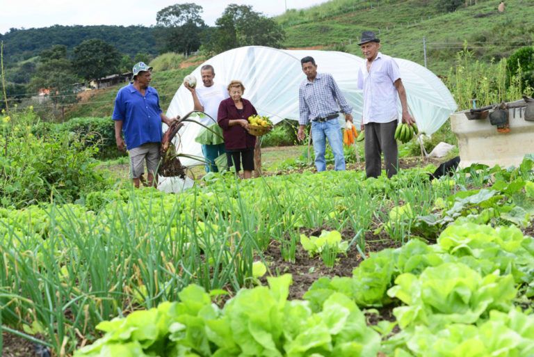 Hoy finaliza la planeación del nuevo Decenio de Agricultura Familiar