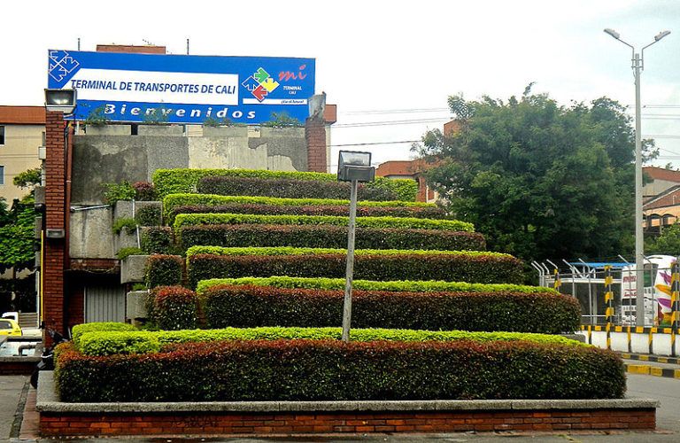 Plan para mitigar el impacto ambiental en el Terminal de Cali