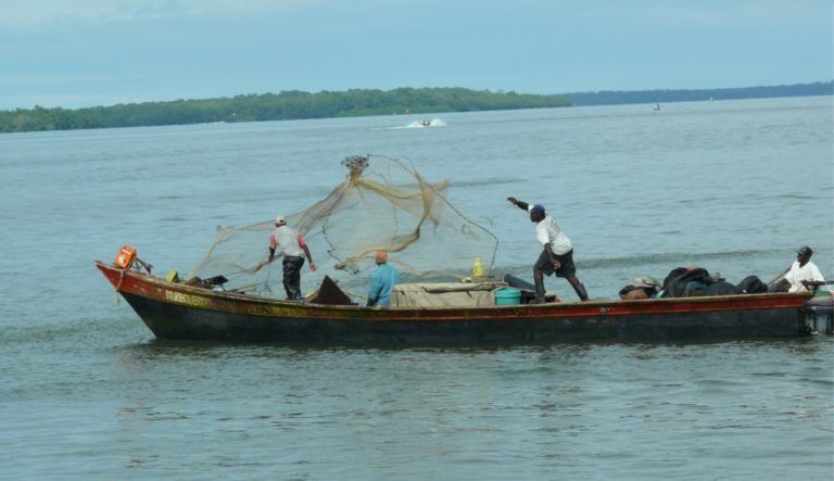 Actualización de Ley de Pesca busca potenciar el sector pesquero del país