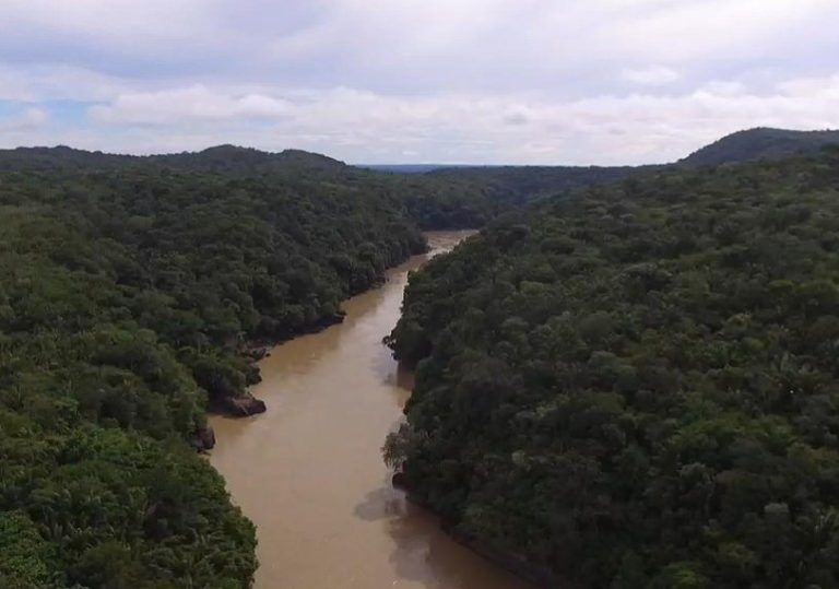 El proyecto que logró cero deforestación en San José del Guaviare