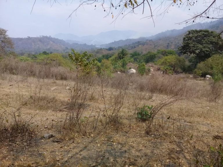 Carta del Campo: Por 20 días arde la reserva bañaderos en La Guajira