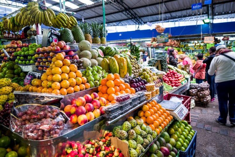 Abren convocatoria para pequeños productores de frutas y hortalizas