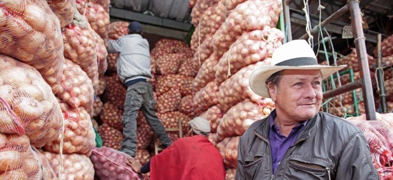 3.966 toneladas de alimentos del campo colombiano llegaron a la capital