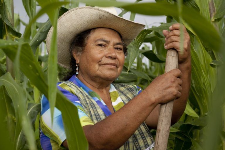 La lucha constituye la genética de las mujeres rurales