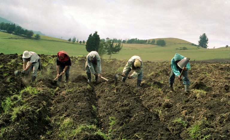 El desafío de implementar los derechos de los campesinos en Colombia
