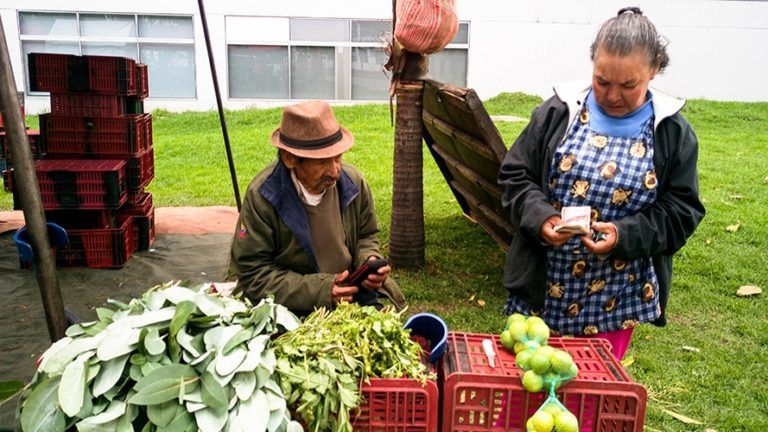 Último fin de semana del mes, aproveche y compre en los mercados campesinos