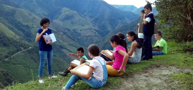Bibliotecas Itinerantes un programa de colección literaria con enfoque rural
