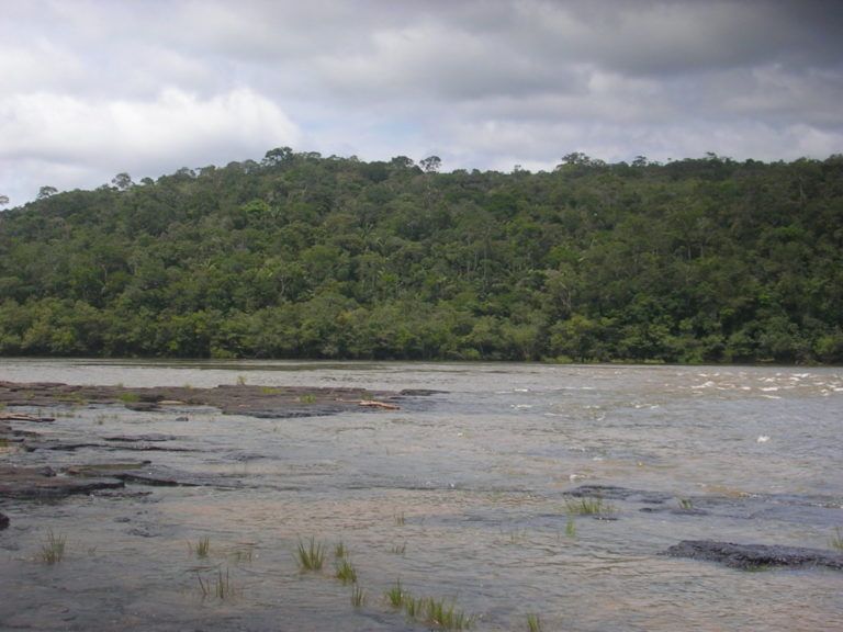 Un viaje fluvial en Caquetá es sinónimo de riqueza natural