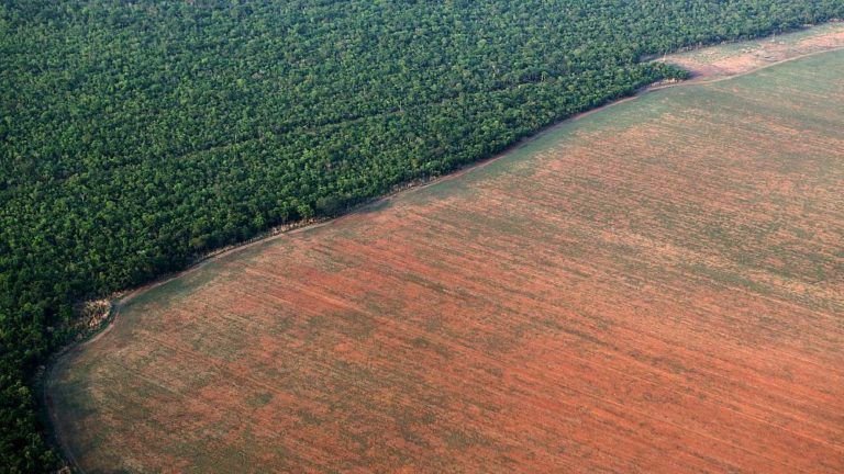 Evaluación mundial afirma que pérdida de biodiversidad es un problema social
