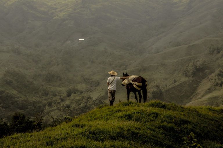 Carta del Campo: Itinerario campesino, una aventura diaria