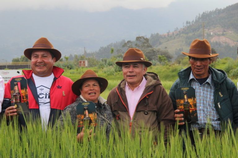 Así es la cerveza hecha con cebada de nuestro campo colombiano