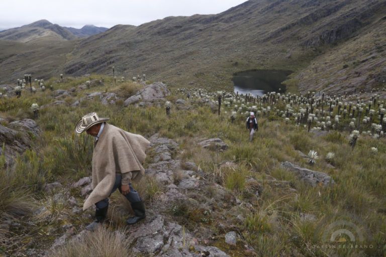 Carta del campo: En defensa de nuestros parameros