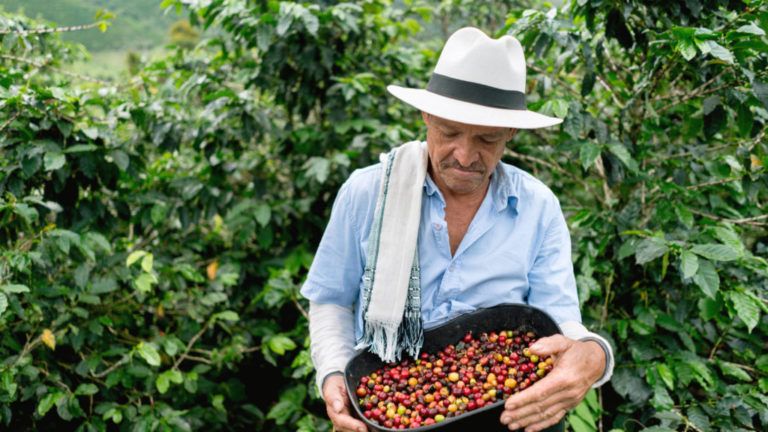 Radio Mundo Rural: Sector cafetero se encuentra en crisis humanitaria