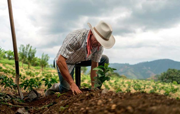 Día Nacional del Campesino, conmemoración y agradecimiento a quienes cultivan vida
