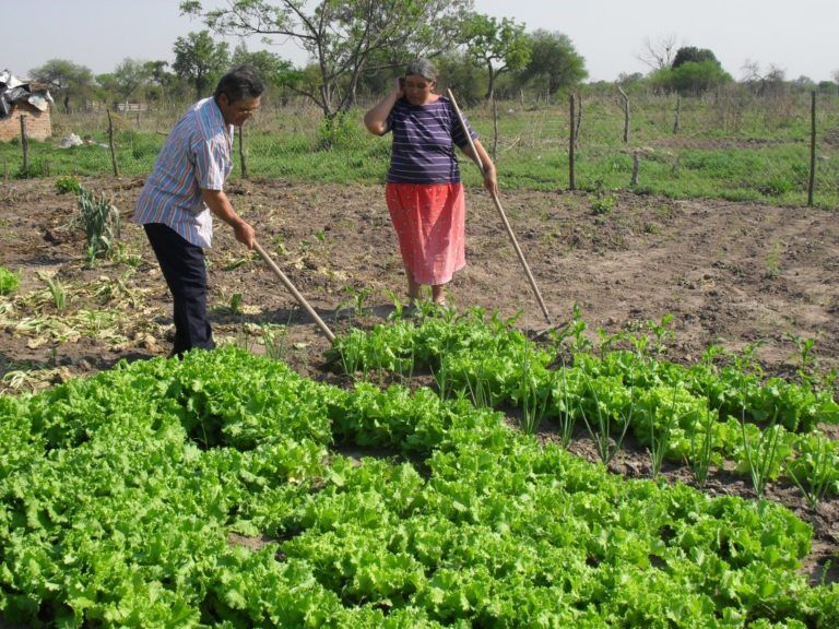 Radio Mundo Rural: Se duplica la pobreza en el campo colombiano