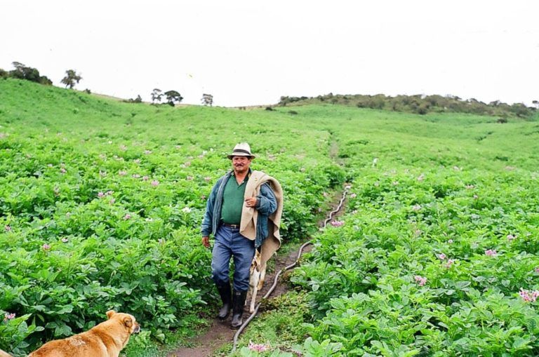 La propuesta orientada al bienestar social de las zonas rurales de Bogotá