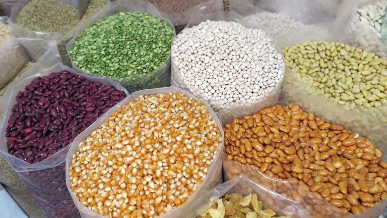 Montería recibirá en octubre dos eventos importantes para nuestros agricultores