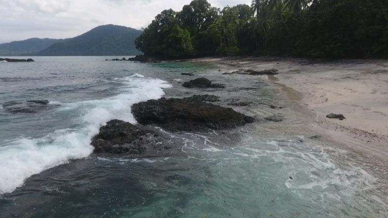¡Puerto No! La lucha del Chocó para evitar construcción del puerto de Tribugá