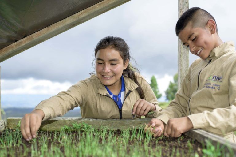 Tres proyectos colombianos son finalistas en Premios Latinoamérica Verde