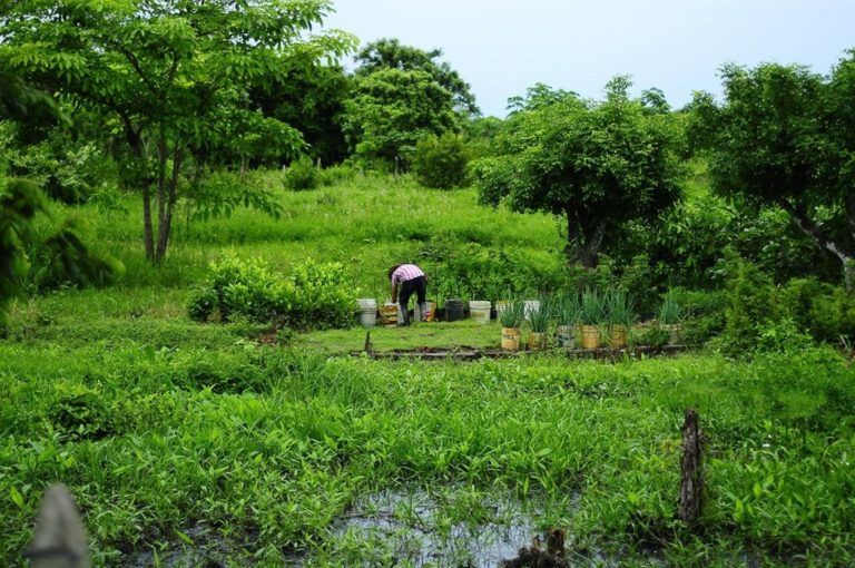 Se requiere inversión para aprovechar todo el potencial de los suelos de Casanare