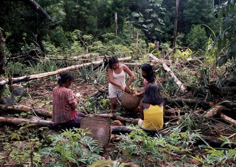 La chagra, un sistema ancestral de conexión con la tierra