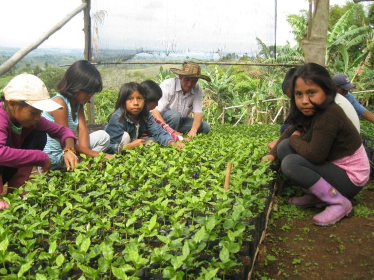 La hermosa labor del maestro rural, un retrato desde el Cauca