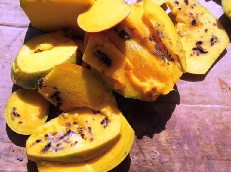 Tomar medidas frente a la mosca de la fruta es garantizar la economía de los productores