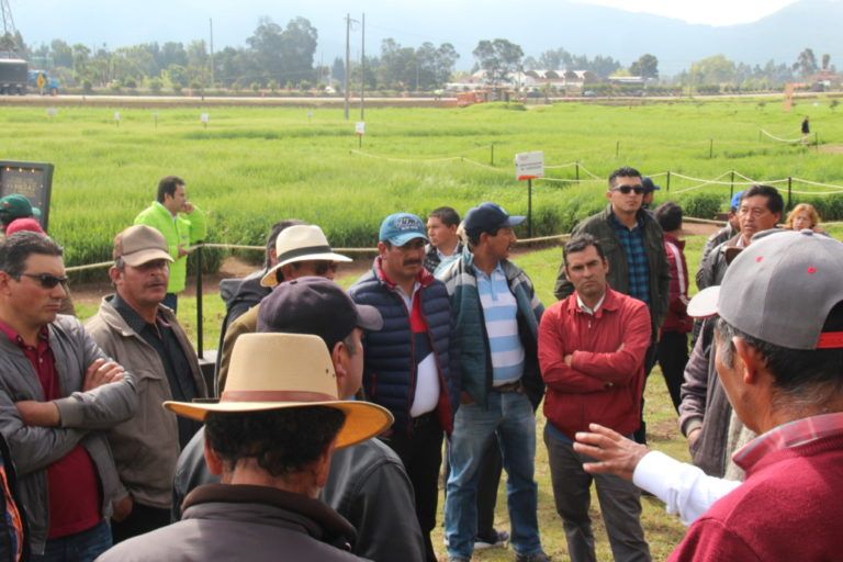 Una muestra de innovación tecnológica diseñada para el campo