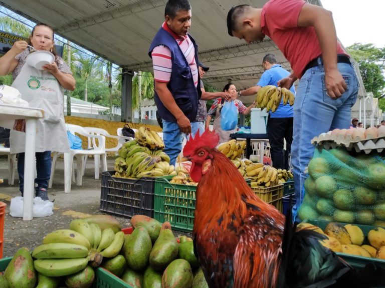 Villavicencio, Meta, apoya la economía de los campesinos comprando en sus mercados