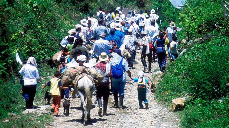 Radio Mundo Rural: El 80% de los desplazados de América Latina son colombianos